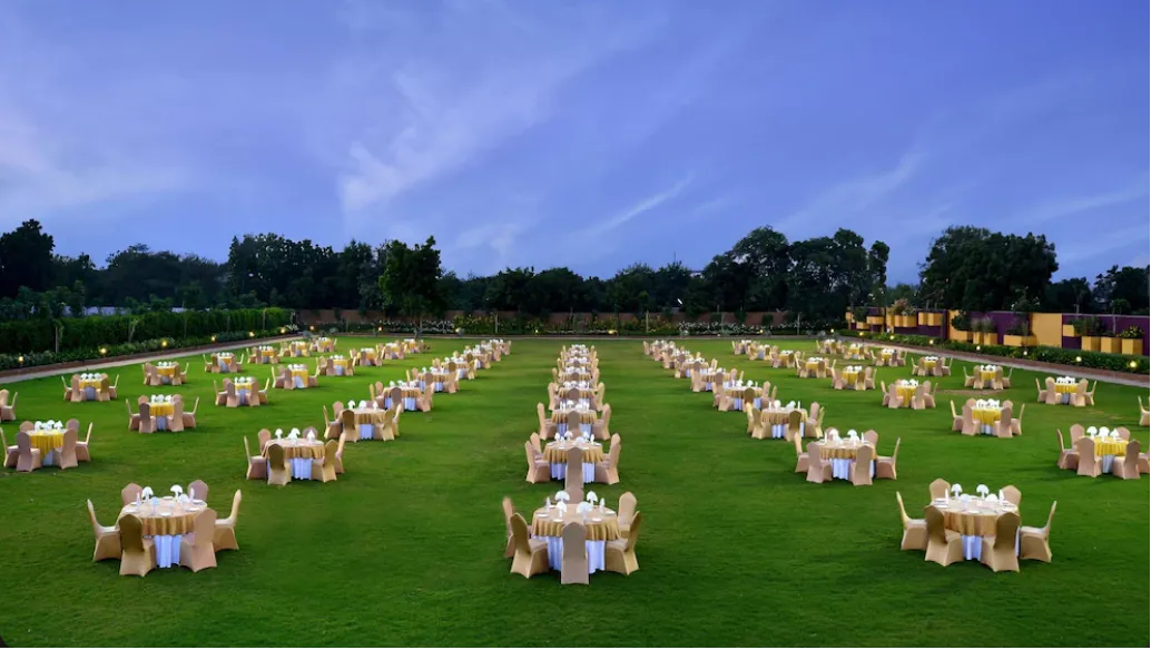 Lawn 1